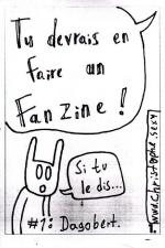 Tu devrais en faire un fanzine !