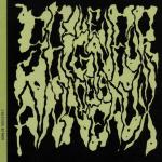 Seigneur des anneaux (le)