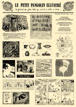 Petit Pangolin Illustr� (le)