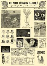 Petit Pangolin Illustr� (le)