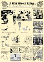 Petit Pangolin Illustr� (le)