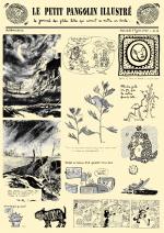 Petit Pangolin Illustr� (le)