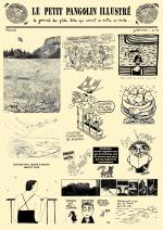 Petit Pangolin Illustr� (le)