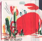 Qui se cache dans les algues?