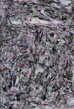 J'�tais Un Hapax Transgalactik (j.�.u.h.t) HS